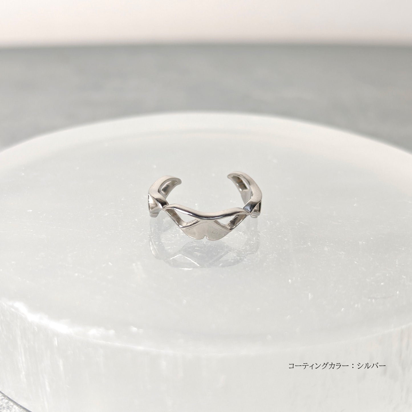 202507【受注販売】Silver moth ring