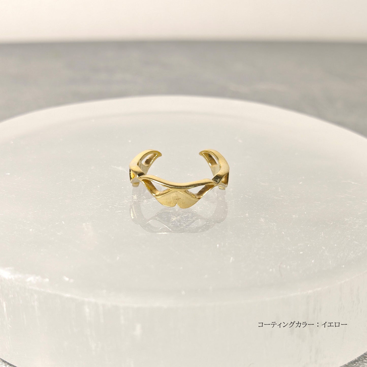 202507【受注販売】Silver moth ring
