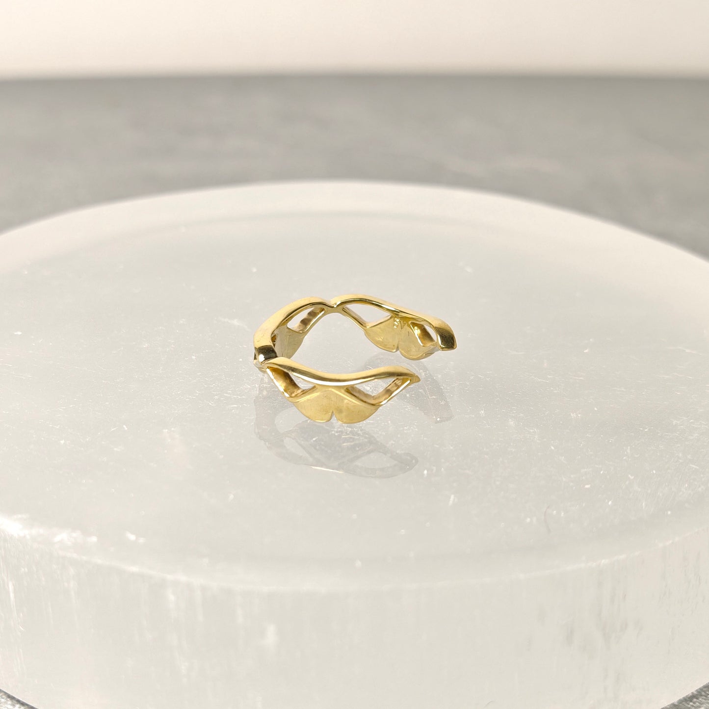 202507【受注販売】Silver moth ring