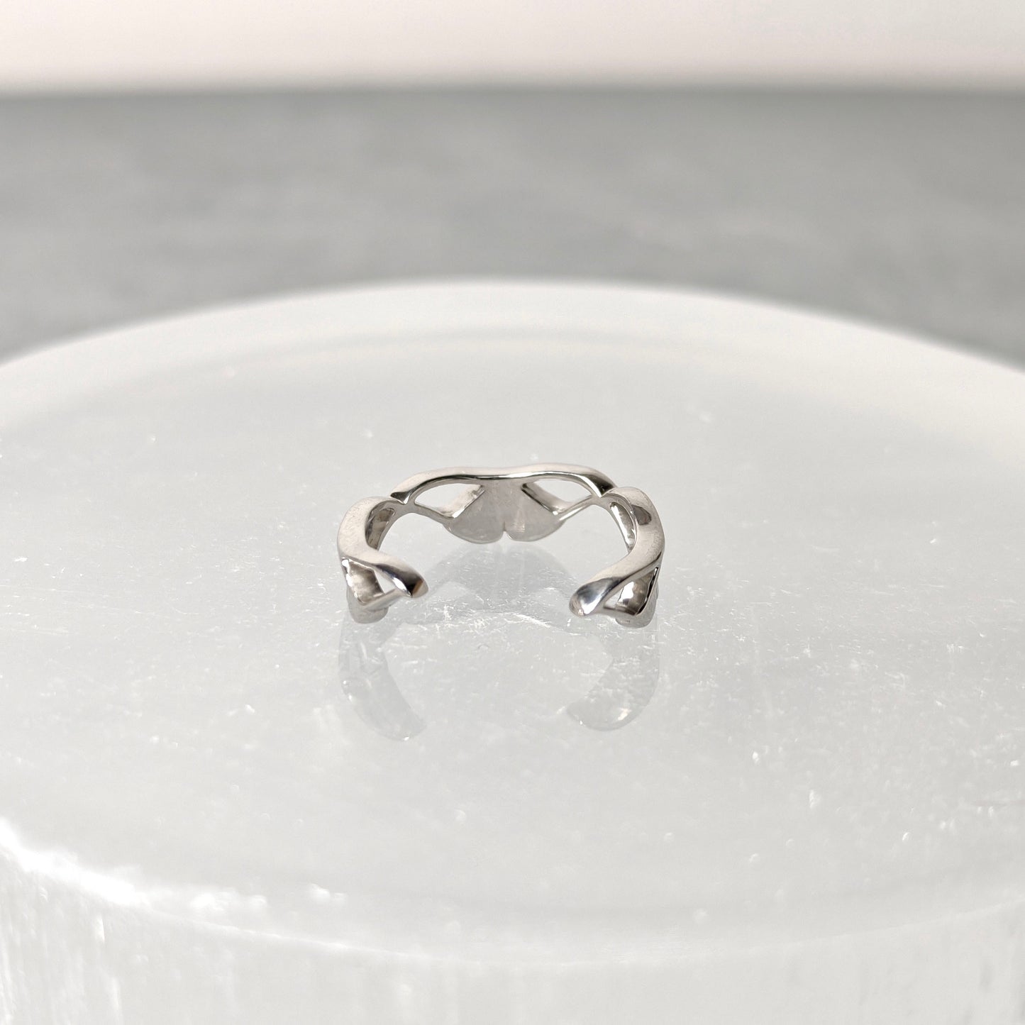 202507【受注販売】Silver moth ring