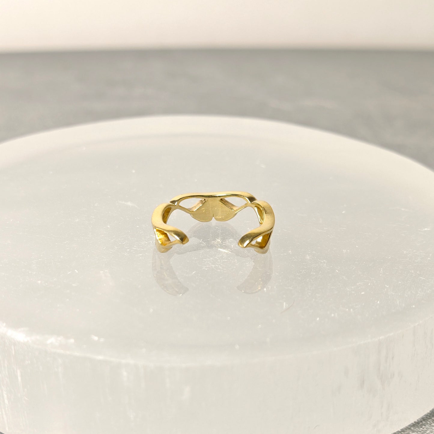 202507【受注販売】Silver moth ring